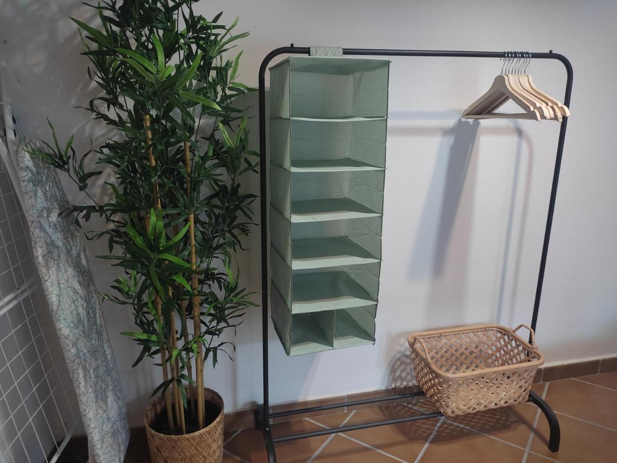 Apartamento Dona Lola Jerez de la Frontera Dış mekan fotoğraf